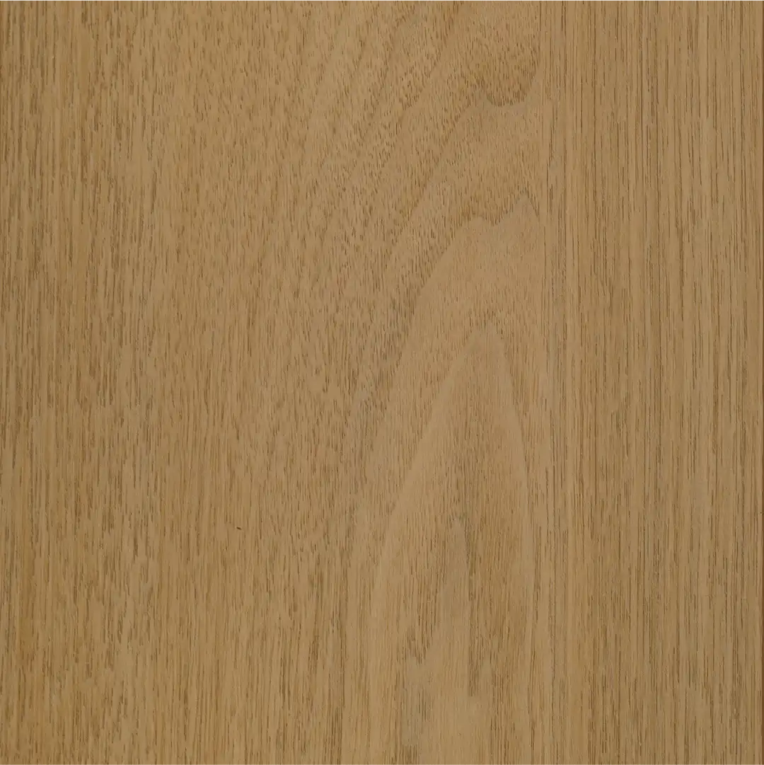 ASHBROWN ACACIA