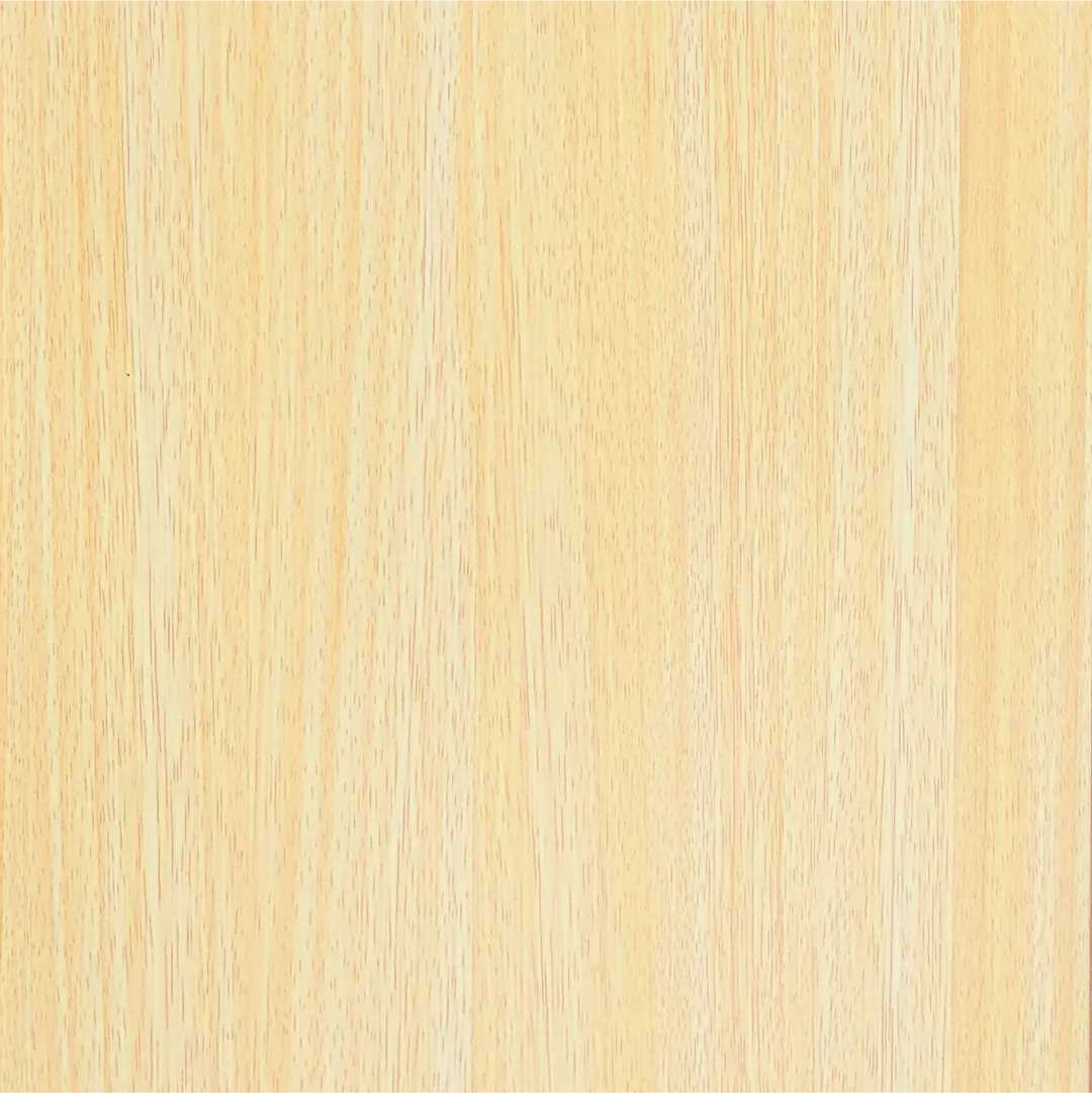 Sunlit Timber